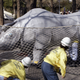 Illustration for article titled The Amazing World Of Zoo Drills, With Humans Dressed As Escaped Animals